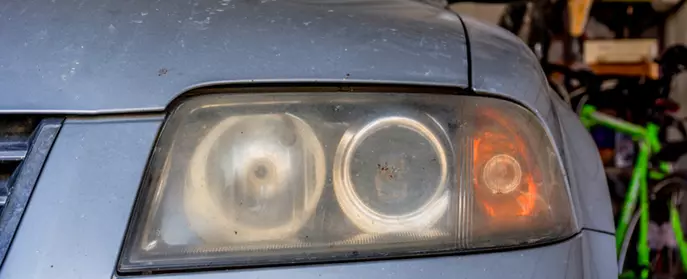 Blacklight headlights 2024